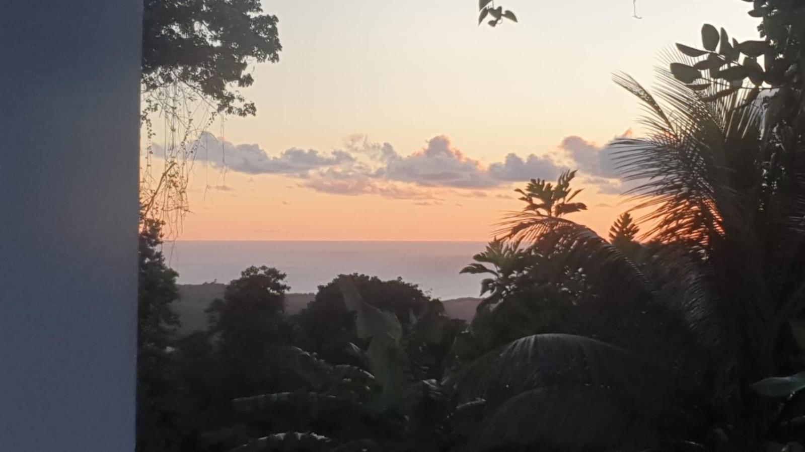 Villa Les Mahoganys Riviere-Salee エクステリア 写真
