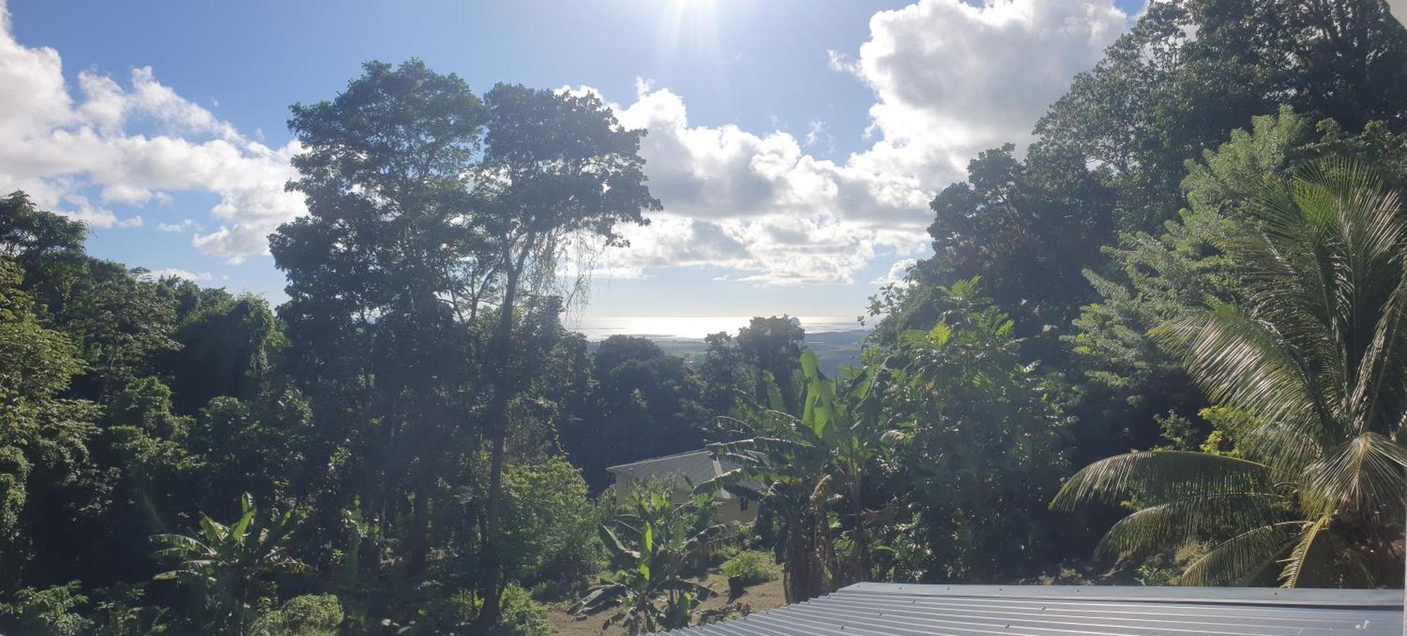 Villa Les Mahoganys Riviere-Salee エクステリア 写真