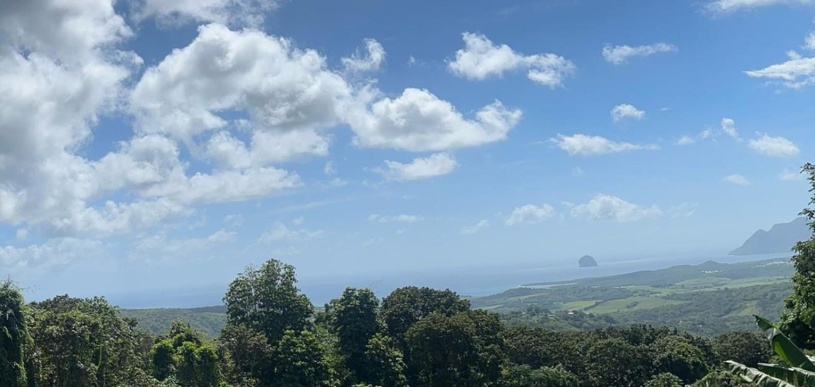 Villa Les Mahoganys Riviere-Salee エクステリア 写真