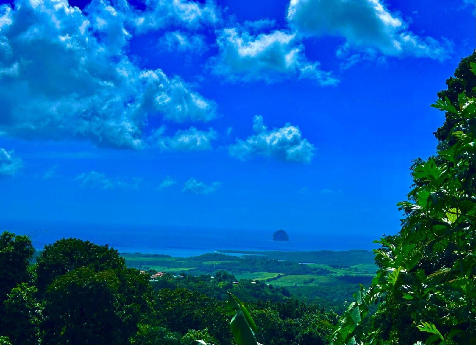 Villa Les Mahoganys Riviere-Salee エクステリア 写真