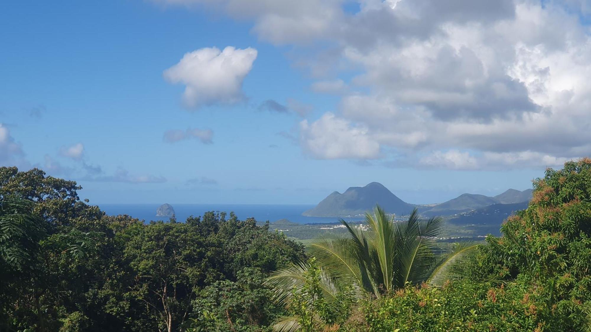 Villa Les Mahoganys Riviere-Salee エクステリア 写真