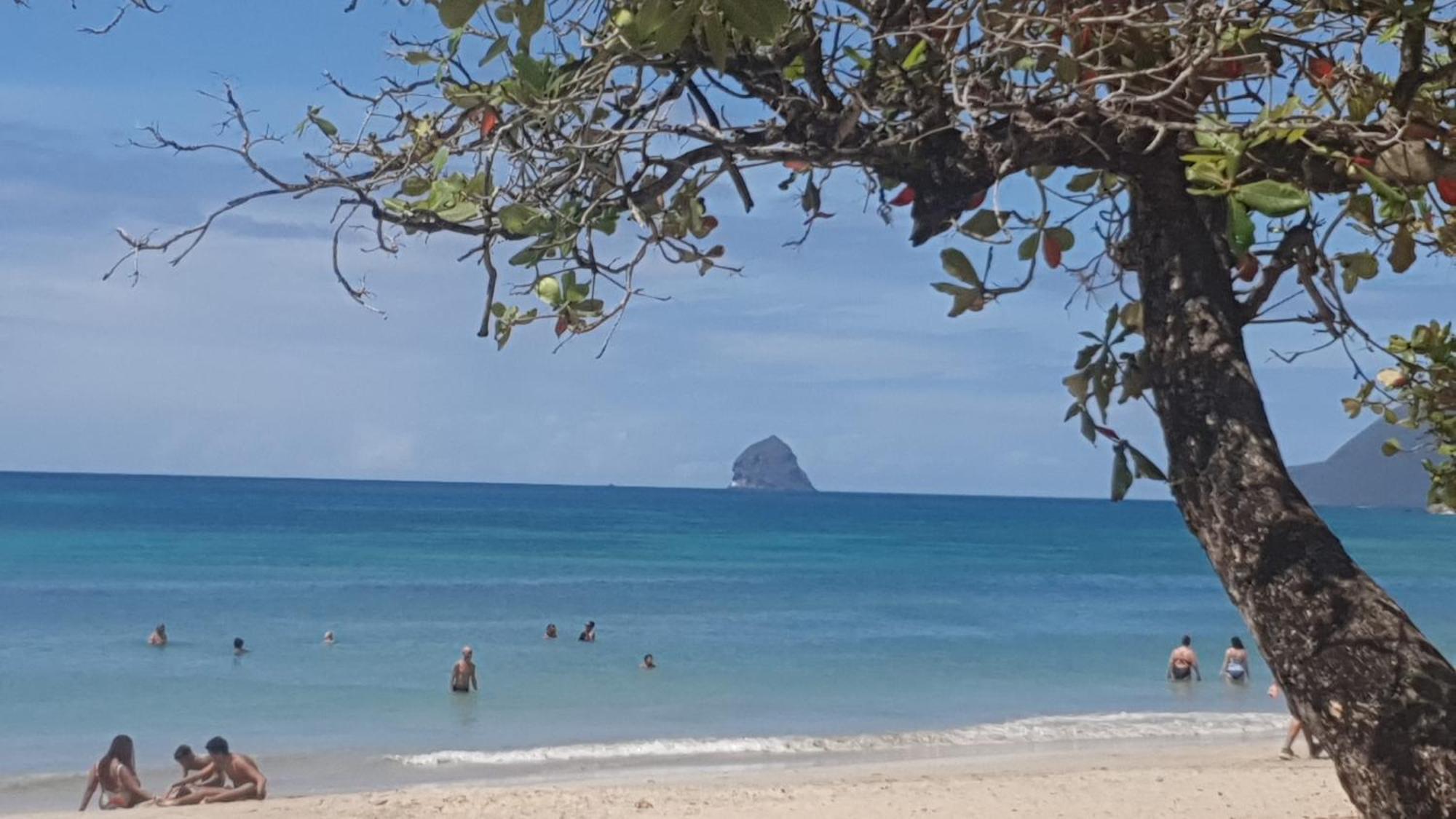 Villa Les Mahoganys Riviere-Salee エクステリア 写真