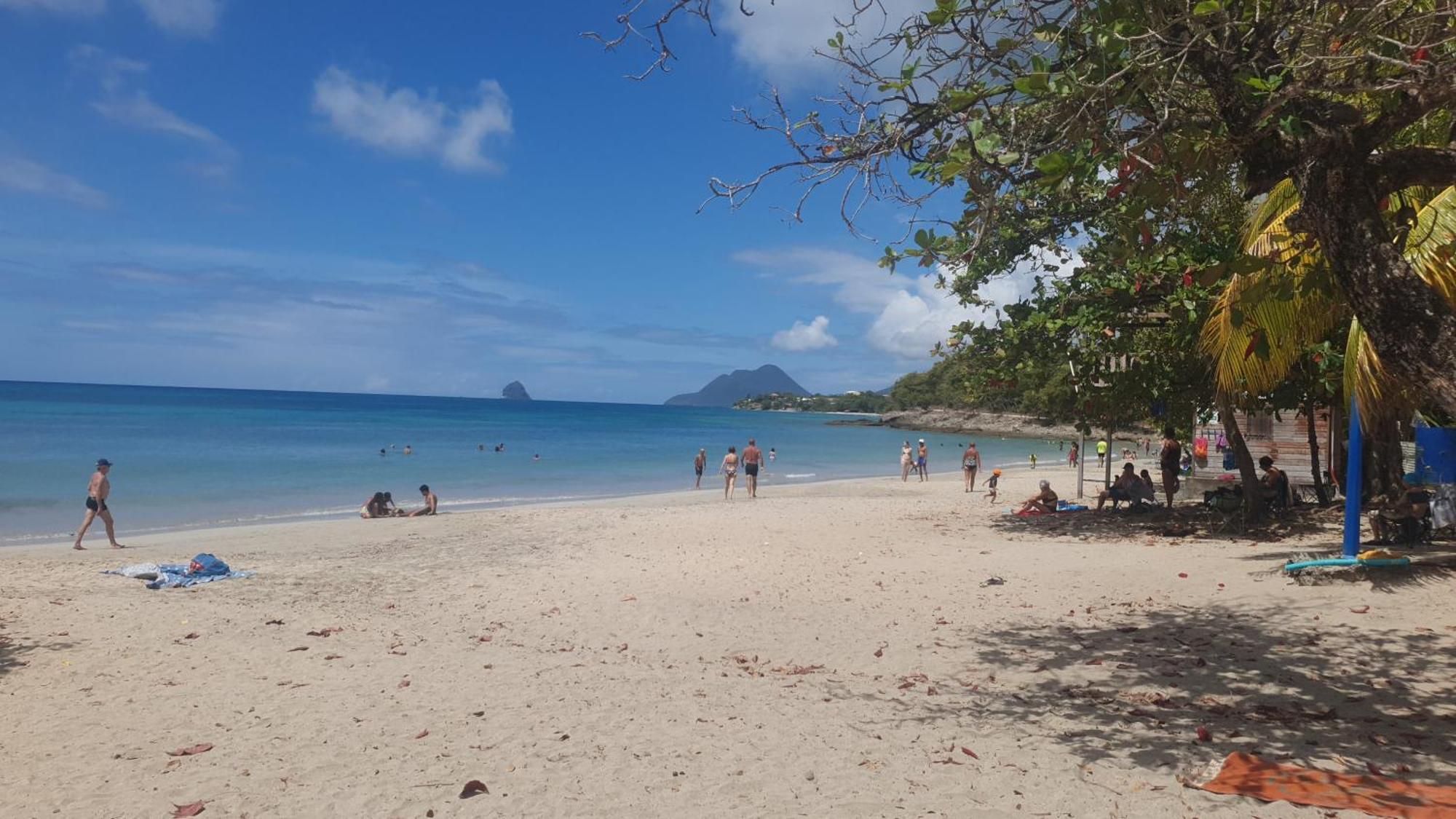 Villa Les Mahoganys Riviere-Salee エクステリア 写真