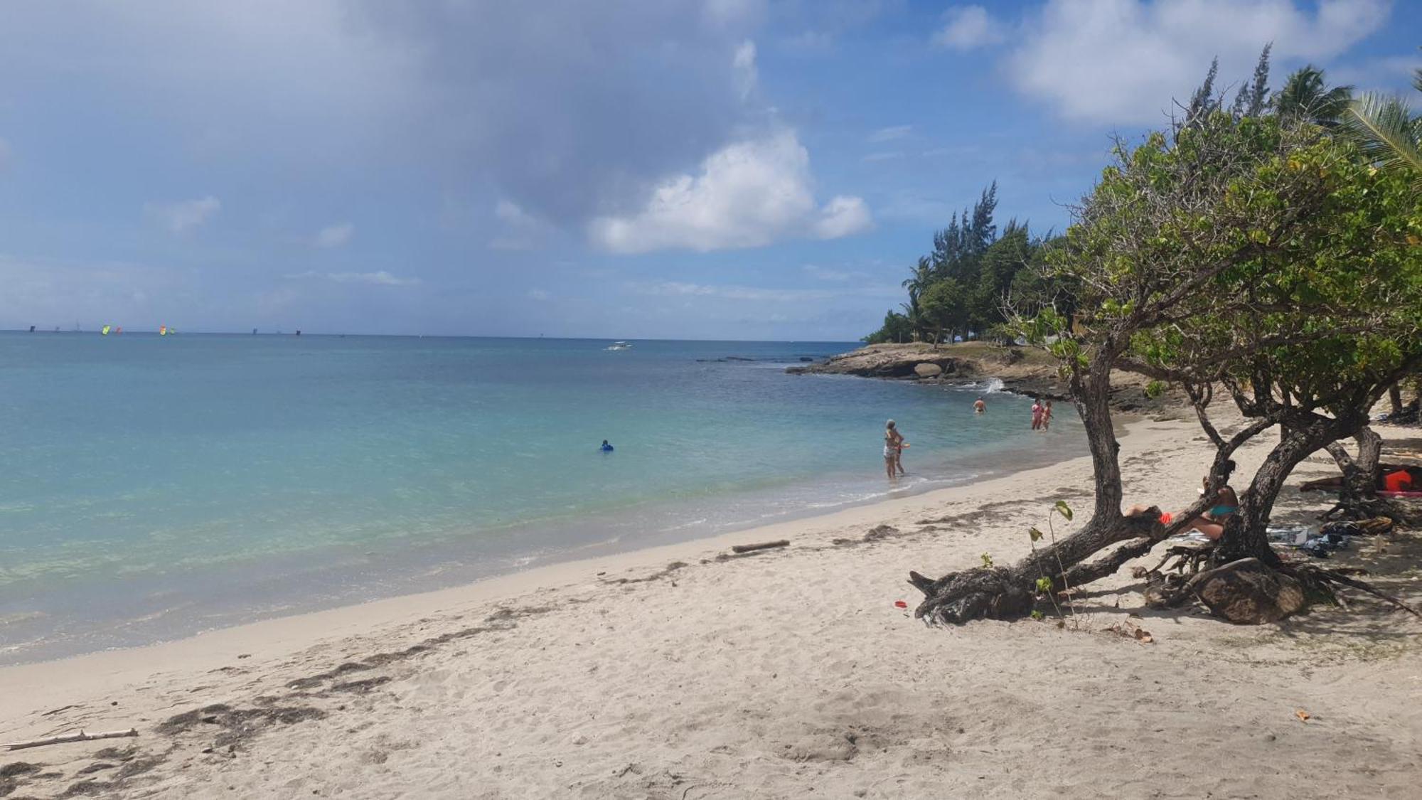 Villa Les Mahoganys Riviere-Salee エクステリア 写真