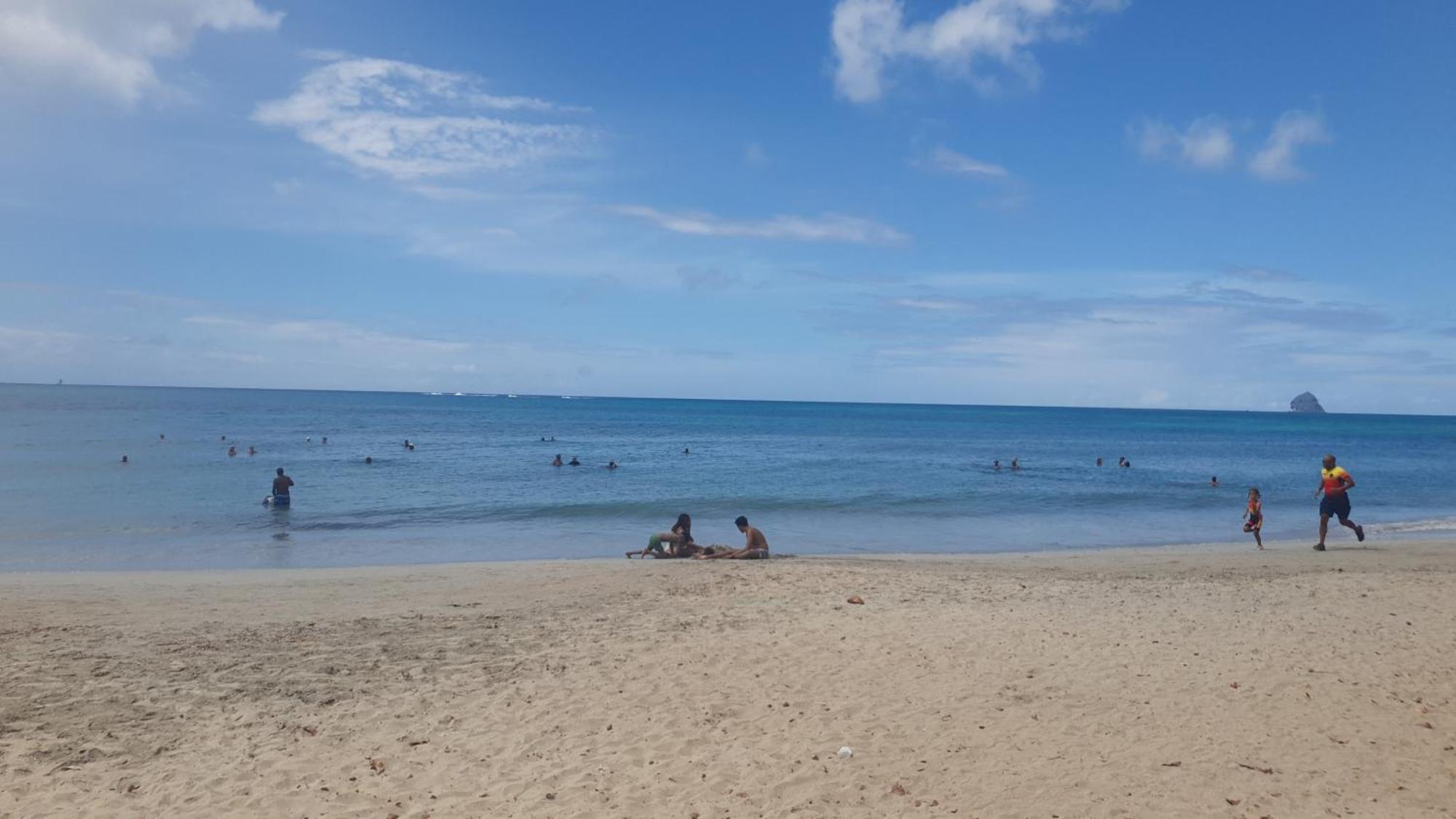 Villa Les Mahoganys Riviere-Salee エクステリア 写真
